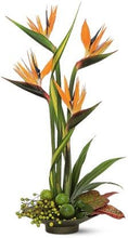 Load image into Gallery viewer, Corporate - Birds of Paradise

